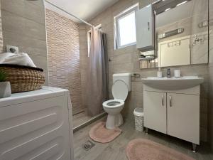 拉克塔希Apartment DUNJA Laktasi的一间带卫生间、水槽和镜子的浴室