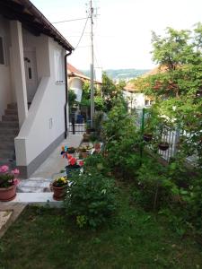 索科矿泉村NEW Novi Apartment Mirjana的房子边有盆栽的院子