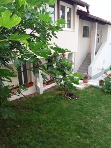 索科矿泉村NEW Novi Apartment Mirjana的院子里有树的房子
