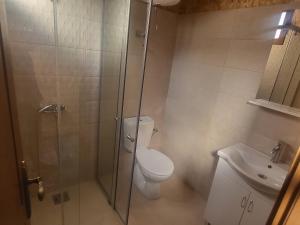 尤塔哈Arabela Bungalovi的带淋浴、卫生间和盥洗盆的浴室