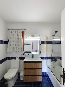 贝纳阿维斯罗斯纳兰霍斯公寓的浴室配有卫生间、盥洗盆和淋浴。