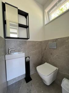 巴拉顿凯奈谢Beige Villa Balatonkenese的一间带卫生间、水槽和镜子的浴室