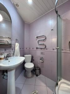 特鲁斯卡韦茨Hotel Premyer的一间带水槽、卫生间和淋浴的浴室