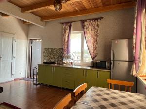 乔克-塔尔Ailus的厨房配有绿色橱柜、冰箱和桌子