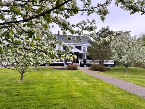 巴德克赛丽迪乡村宾馆的一座带草坪和树木的大型白色房屋
