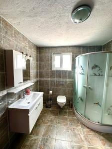 达利安Villa Misli - Heart of Dalyan and Newly Renovated的带淋浴、卫生间和盥洗盆的浴室