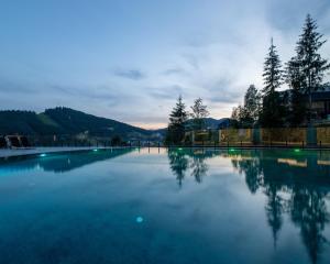 布克维Hotel Podgorie Spa的一座种满树木和山脉的大型水池