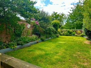约克Tanyard Barn - North Yorkshire的花园,草坪上种有花草
