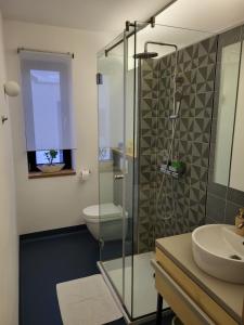 巴诺夫茨Genius Guest Unique Banovci Apartment的带淋浴、卫生间和盥洗盆的浴室