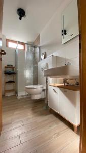 珀丽Apartment Bärenfelsblick的一间带水槽、卫生间和淋浴的浴室