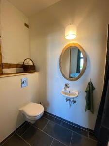 福堡Gamle Præstegård的一间带卫生间、水槽和镜子的浴室