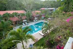 塔拉波托Villa Lu Amazon Ecolodge的享有带游泳池的房屋的空中景致