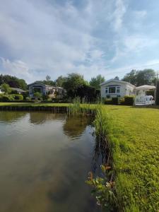 福尔特赫伊曾Zonnig chalet aan mooie visvijver的庭院里的小池塘,有房子的背景