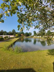 福尔特赫伊曾Zonnig chalet aan mooie visvijver的公园池塘的景色
