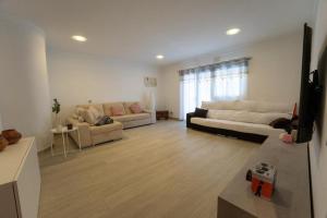 大加那利岛拉斯帕尔马斯Finca Artiles的一个带两张沙发和一张沙发的大客厅