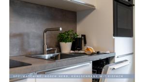诺特海姆Apartment Leinetal - 3 Zi 70 qm ,Küche, Duschbad, Parkplatz的厨房配有水槽和台面上的植物