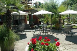 塞格德塞格德露营地及公寓的庭院配有桌椅和红色鲜花