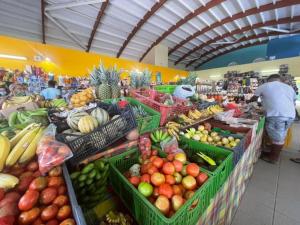 勒迪亚芒Kay Louisette的市场里有很多水果和蔬菜篮子
