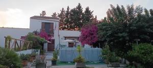 布塞托帕利佐洛巴格里奥费利托住宿加早餐旅馆的一座带栅栏和一些植物的白色房子