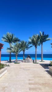 苏莎亚DesSea Island-Sosua Ocean Village的海滩上一排棕榈树与大海