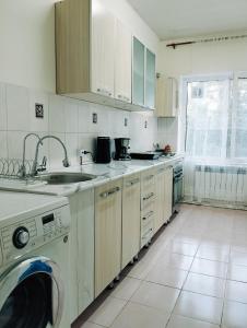 比什凯克Salma Capsule Hostel的厨房配有水槽和洗衣机
