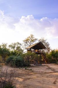 奥马鲁鲁Ondudu Safari Lodge的田间中的一个树屋