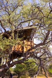 奥马鲁鲁Ondudu Safari Lodge的树屋,树屋,有梯子