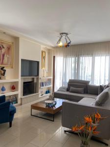 阿依纳帕Ionion Beachfront Villa的带沙发和电视的客厅