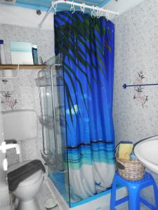 马拉松坎博斯Meltemia Studios的浴室设有淋浴帘、卫生间和水槽