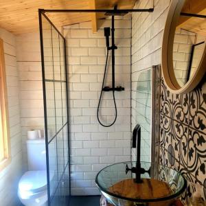 布德Ivy Rose Cabin with private hot tub的一间带玻璃水槽和淋浴的浴室