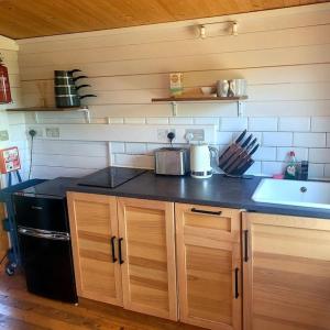 布德Ivy Rose Cabin with private hot tub的厨房配有木制橱柜和台面