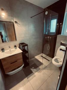 萨比诺瓦BALTICO Domki Letniskowe的浴室配有卫生间、盥洗盆和淋浴。