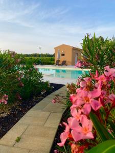 阿尔盖罗MARIS APARTMENTS - Free Airport Shuttle的一座房子前方的游泳池,里面装有粉红色的花朵