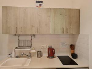 特拉维夫Best Place to relax in Tel Aviv的一个带水槽和木柜的厨房台面
