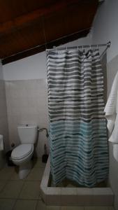 科罗尼Anastasios House的一间带卫生间和淋浴帘的浴室