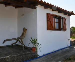 科罗尼Anastasios House的白色的房子,有窗户和植物