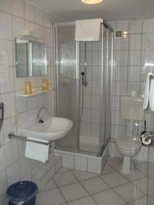 Holsthum欧罗巴酒店的带淋浴、盥洗盆和卫生间的浴室