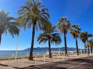 戛纳Beach Studio Cannes的海滩上一排棕榈树