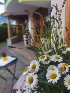 滨湖采尔兰德豪斯泽尔西酒店的花瓶里满是白色的黄色花朵