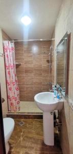 卡兹贝吉Aronia Kazbegi的一间带水槽、淋浴和卫生间的浴室