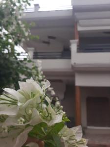 AyodhyaPAARIJAAT Homestay & Guesthouse的钢琴前的一大束白色花