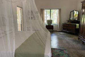尼甘布Diklande Estate Bungalow的一间卧室配有一张带蚊帐的床
