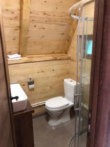 ŠavnikEtno apartmani Komarnica的木制浴室设有卫生间和水槽