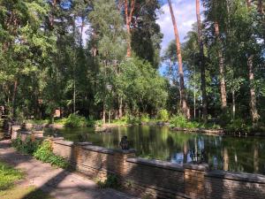 BuzovayaEthno Complex Ukrayinske Selo的公园里的一个池塘,有栅栏和树木
