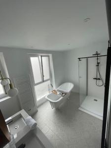 图尔Le grand Michelet centre de tours的白色的浴室设有水槽和淋浴。