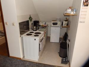 LottorfGästehaus Hahnenkrug的小厨房配有炉灶和冰箱