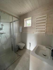 Domek Pod Brzozami的带淋浴、盥洗盆和卫生间的浴室