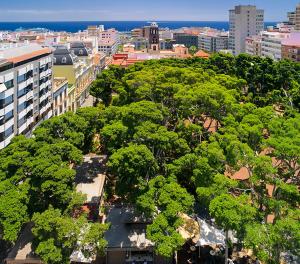 圣克鲁斯-德特内里费和平王子酒店的树木和建筑的城市空中景观