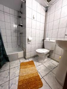 莱斯诺夫Pensiunea Folea Rasnov的浴室配有卫生间、淋浴和盥洗盆。