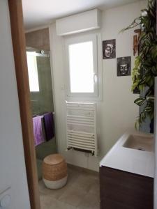 CailleChalet familial à la montagne的一间带水槽和窗户的浴室